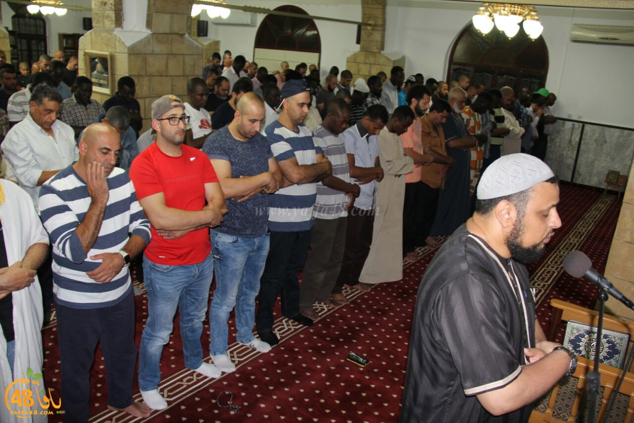 trawe7 salahsaj (1).jpg